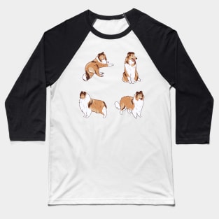 Collie dog pack Baseball T-Shirt